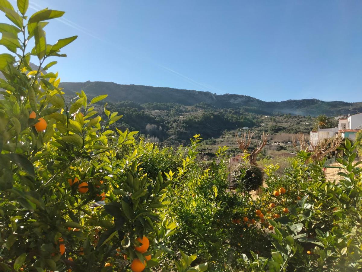 Les Penyetes Panzió Campell Kültér fotó